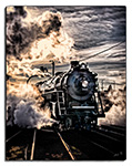 Photo of "Coming Out" 16x20 Photo Print
