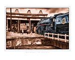 Photo of "Moving Day" 16x20 Photo Print